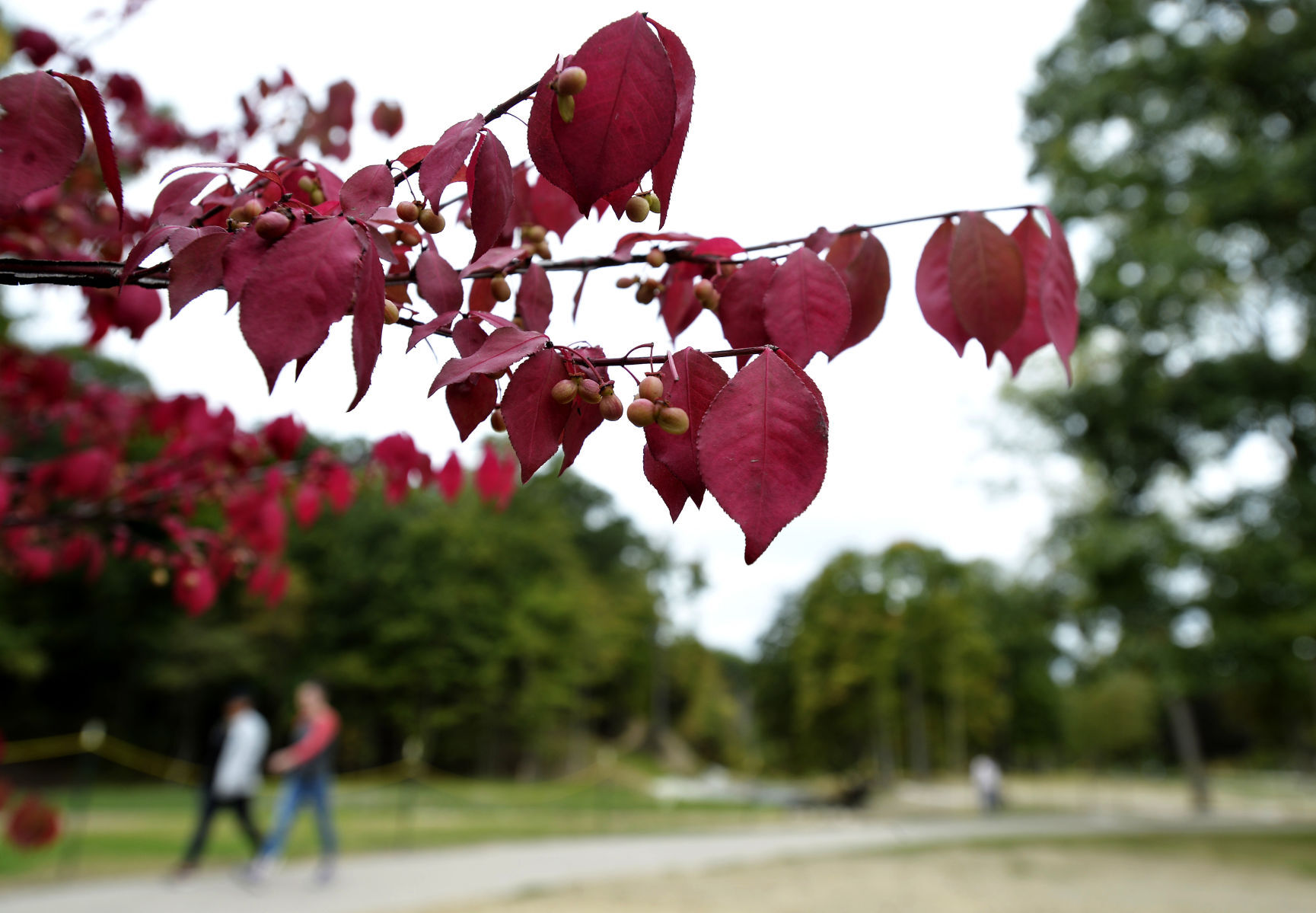 A sure sign of fall